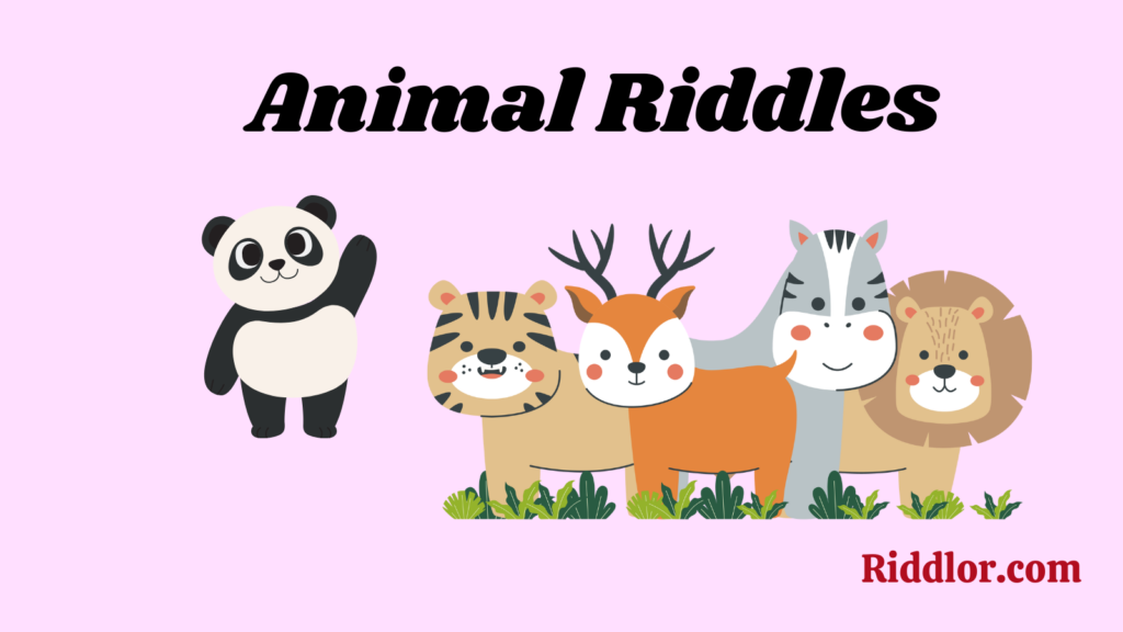 Animal Riddles