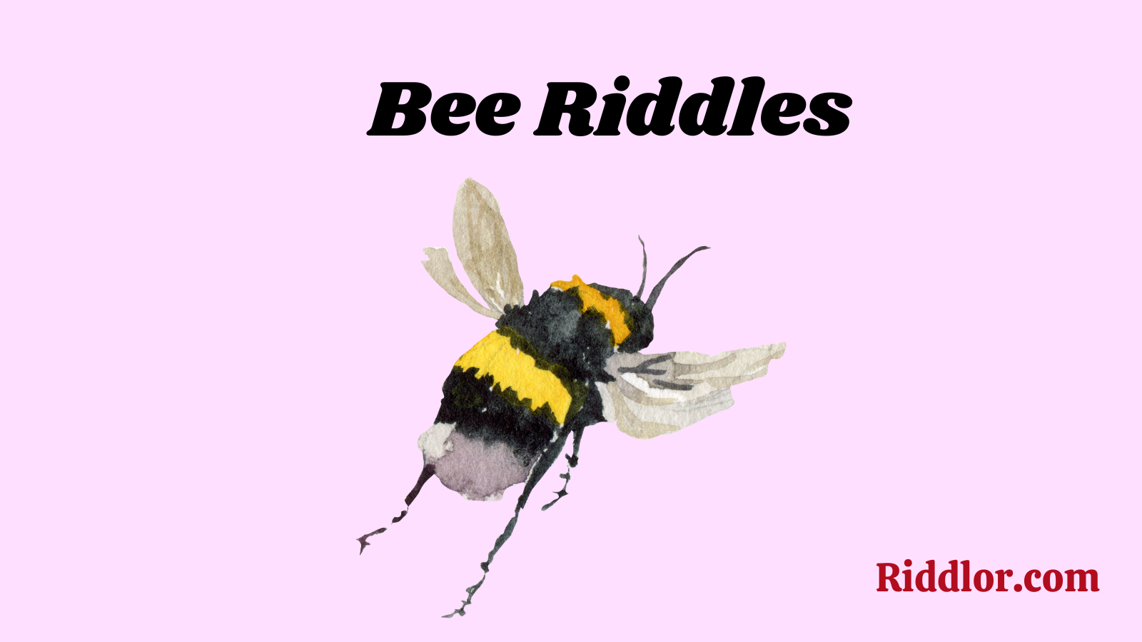 Bee Riddles