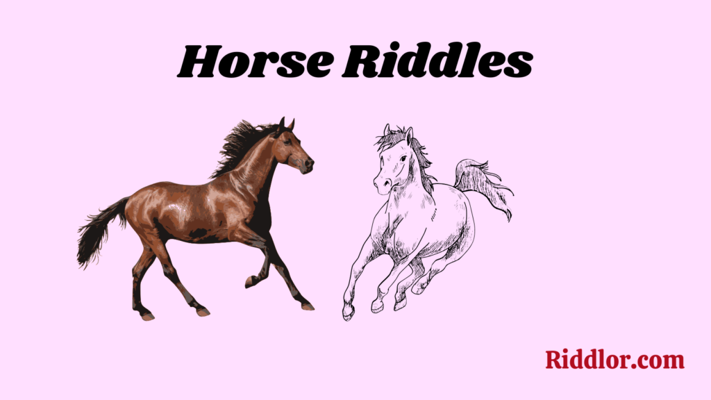 Horse Riddles