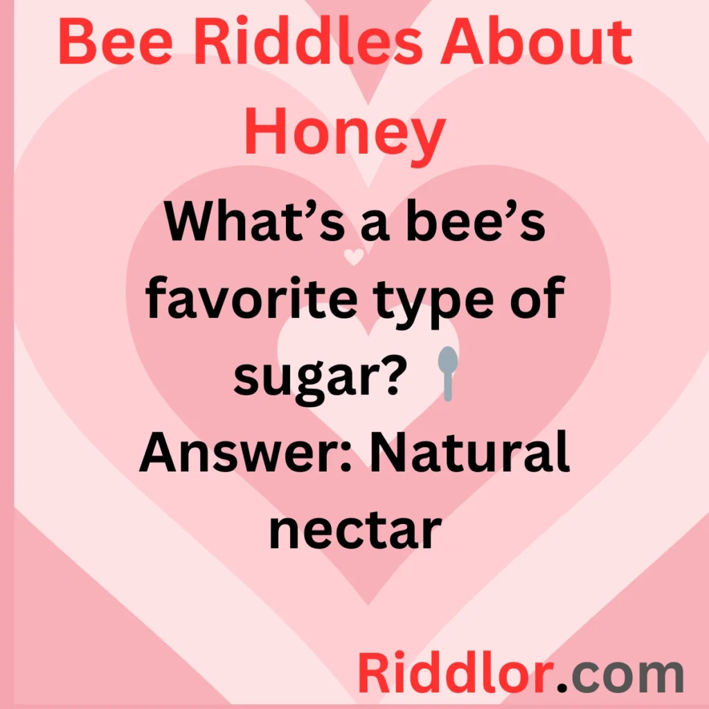 Bee Riddles About Honey