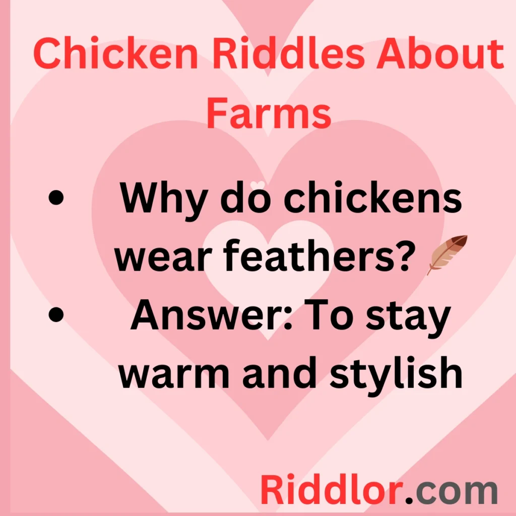 Chicken Riddles