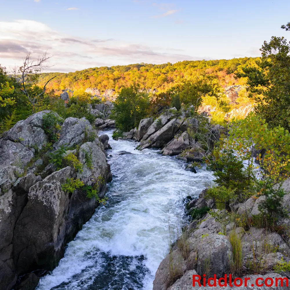 Fun and Tricky Great Falls Riddles