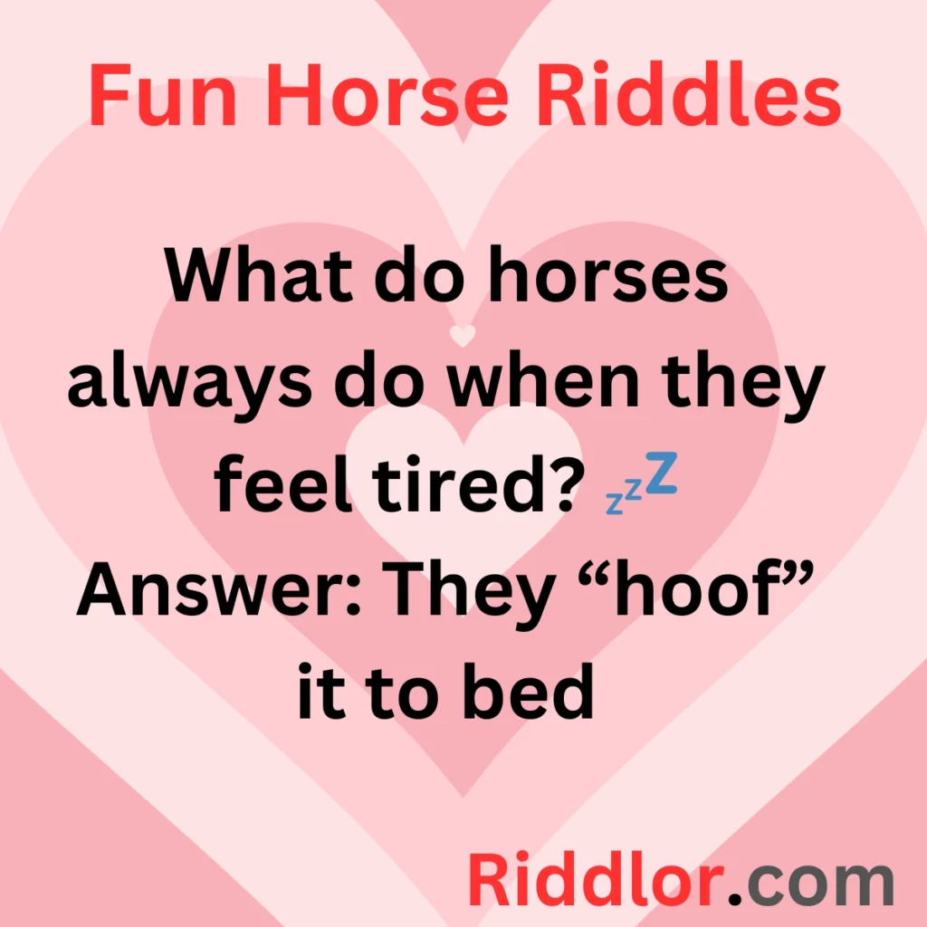 Fun Horse Riddles for All Ages