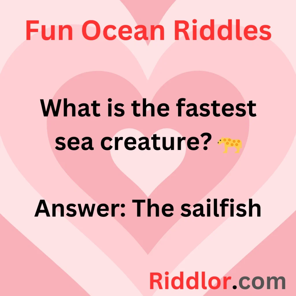 Fun Ocean Riddles for Adults