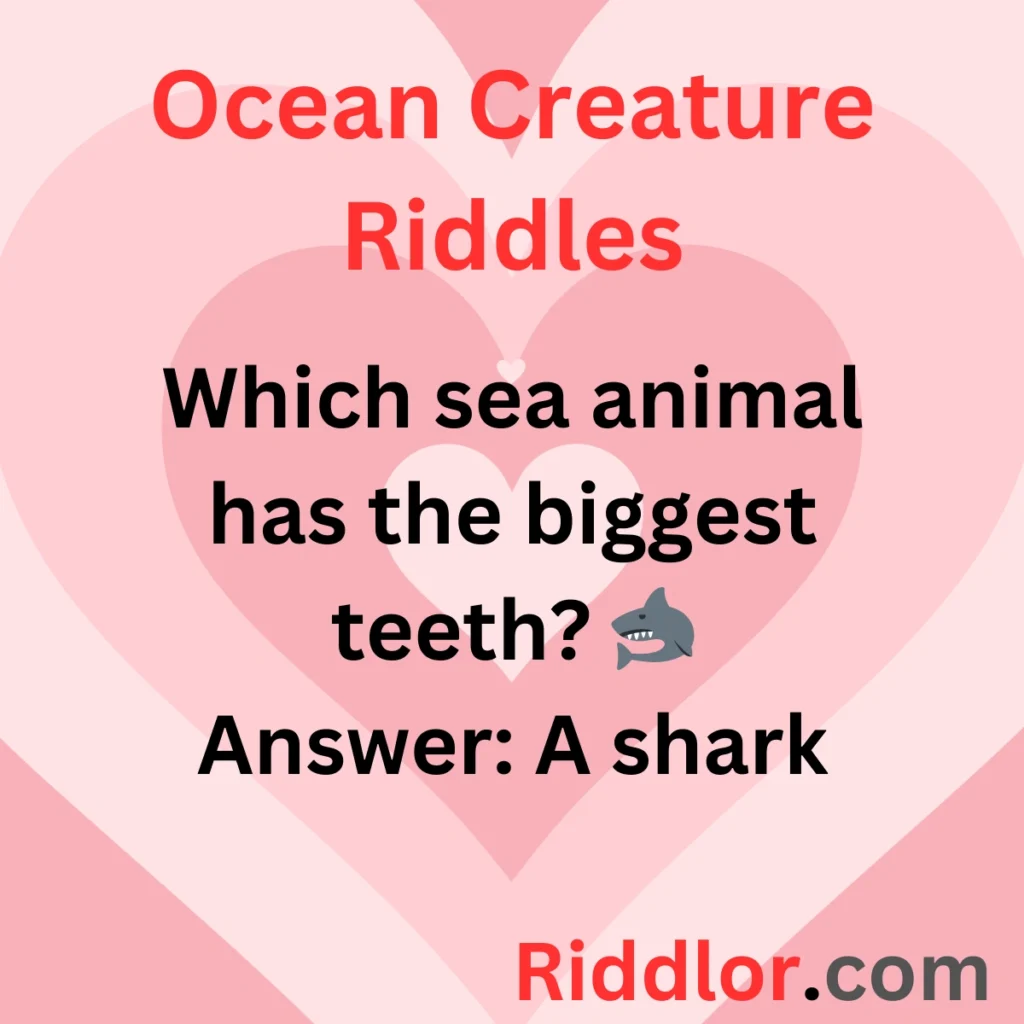 Ocean Creature Riddles