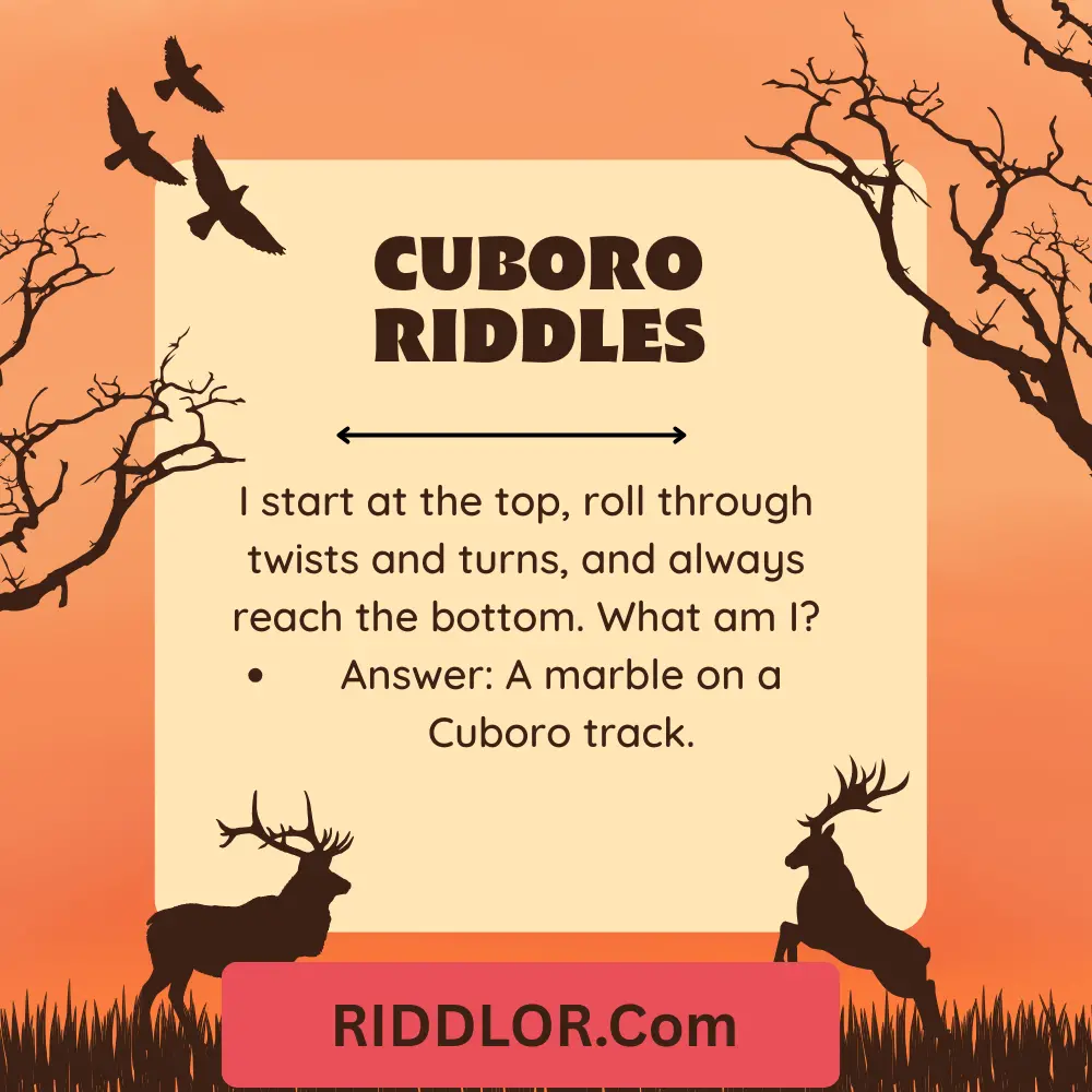 Cuboro Riddles