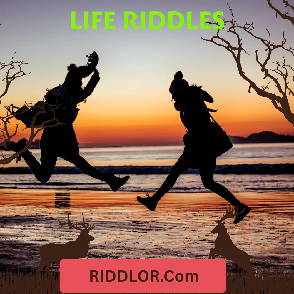 Life Riddles