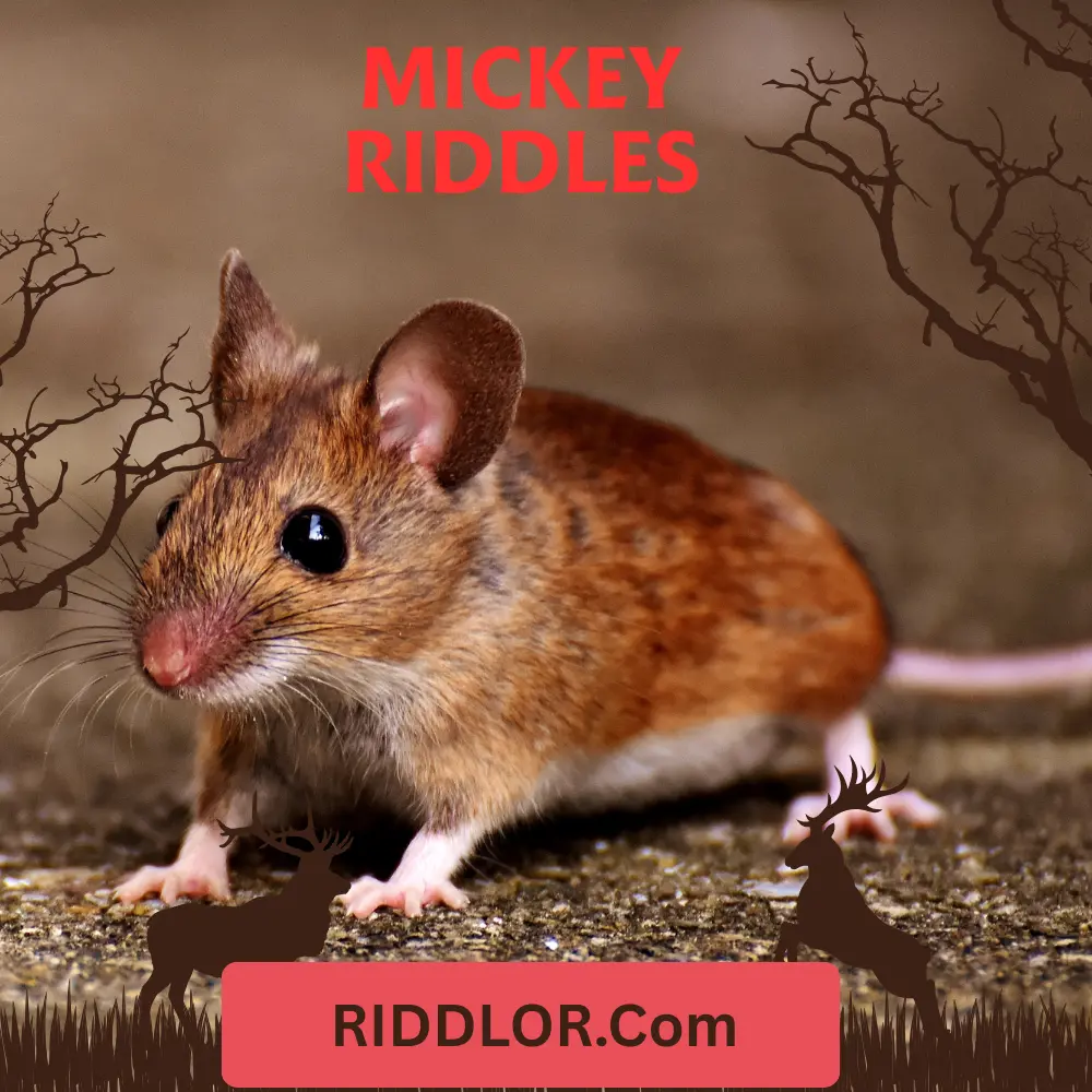 Mickey Riddles