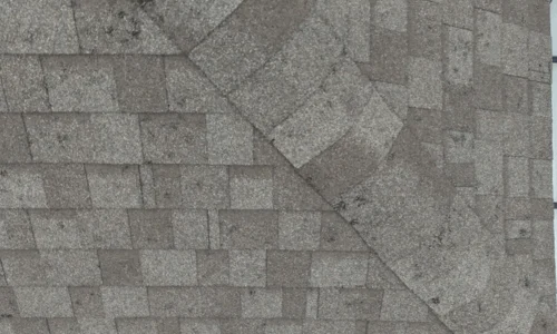 Roofing Services Calgary:  Long-Term Protection and Value Homeowners Trust
